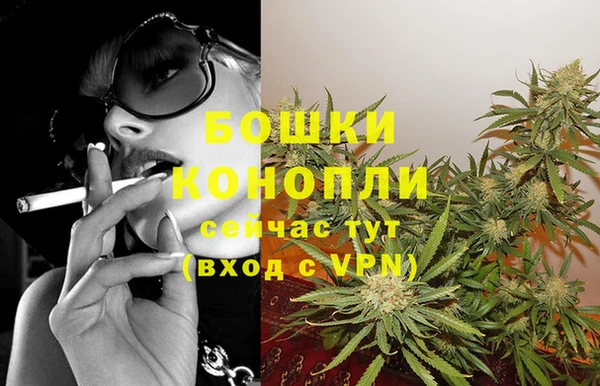 СК Новокубанск
