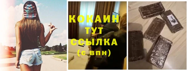 СК Новокубанск