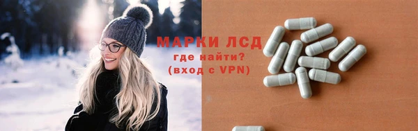 прущий лед Новозыбков