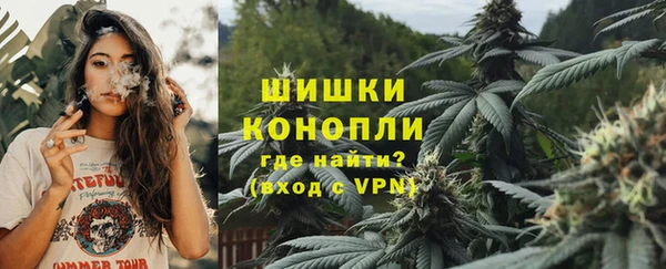 прущий лед Новозыбков