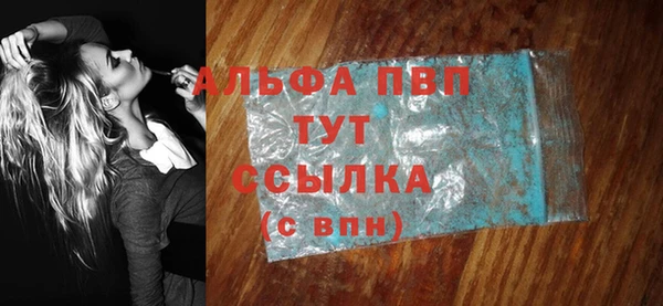 прущий лед Новозыбков