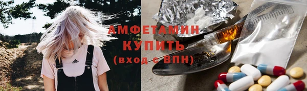 прущий лед Новозыбков