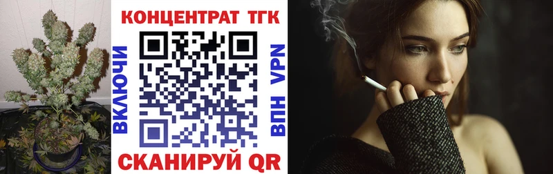 Купить где  Кизел  ТГК концентрат 