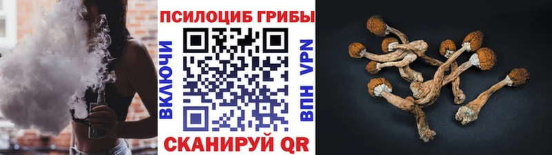 Псилоцибиновые грибы ЛСД  Купить где  Кизел 